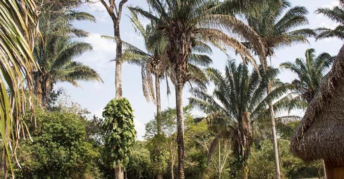 Savanna Orinoquia Lodge Orocue Екстер'єр фото